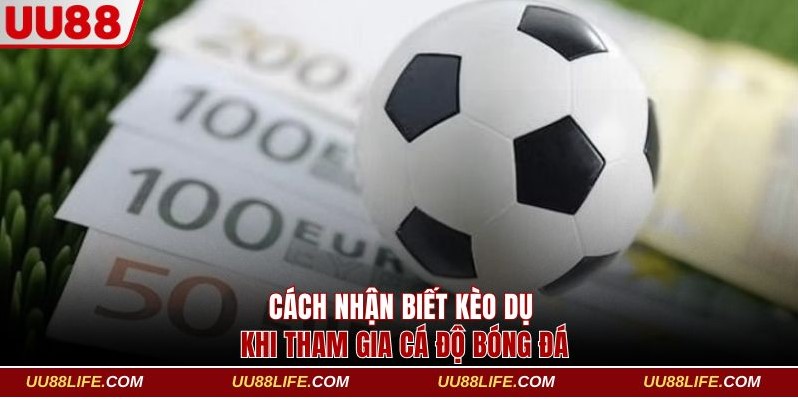 Cách nhận biết kèo dụ khi tham gia cá độ bóng đá